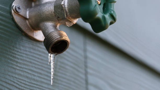 Best Leak Detection Services  in Bel Air North, MD